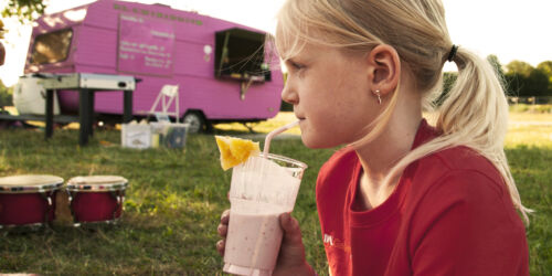 Nytorpsgärdet Rosa Smoothie 2011