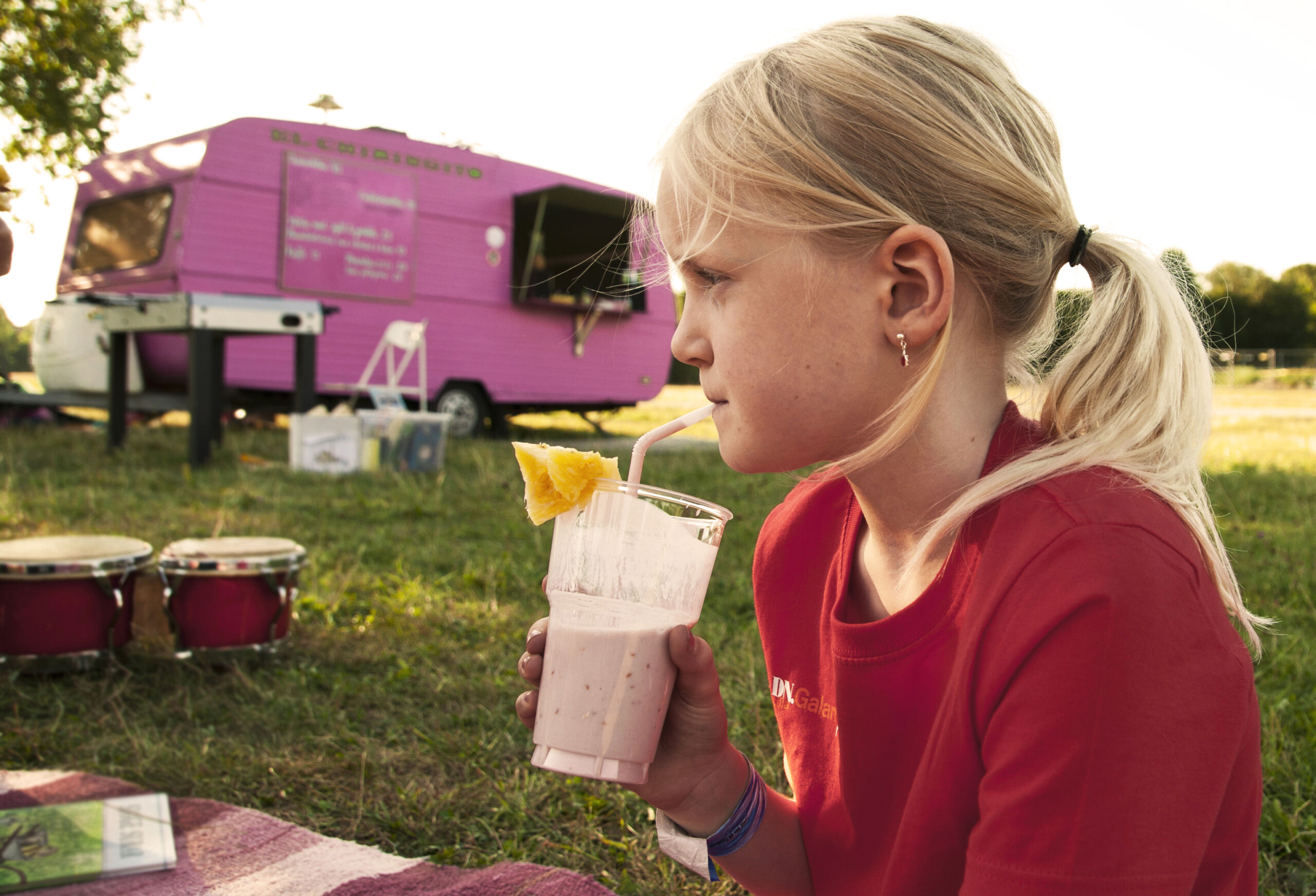 Nytorpsgärdet Rosa Smoothie 2011